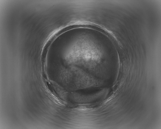 X0000052641319200507081955