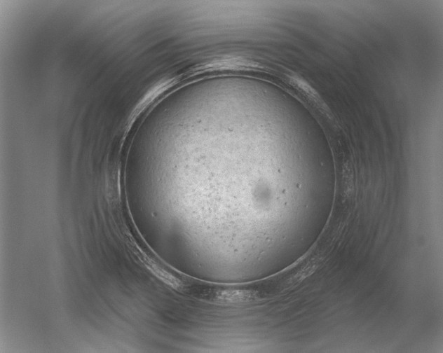 X0000052641322200507081955