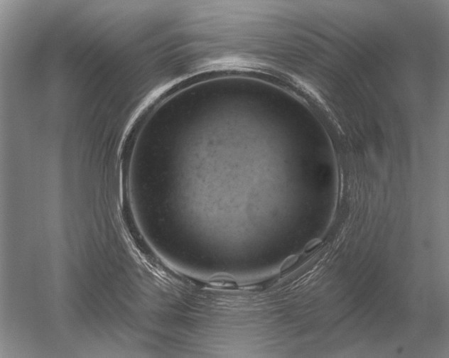 X0000052641323200507081955