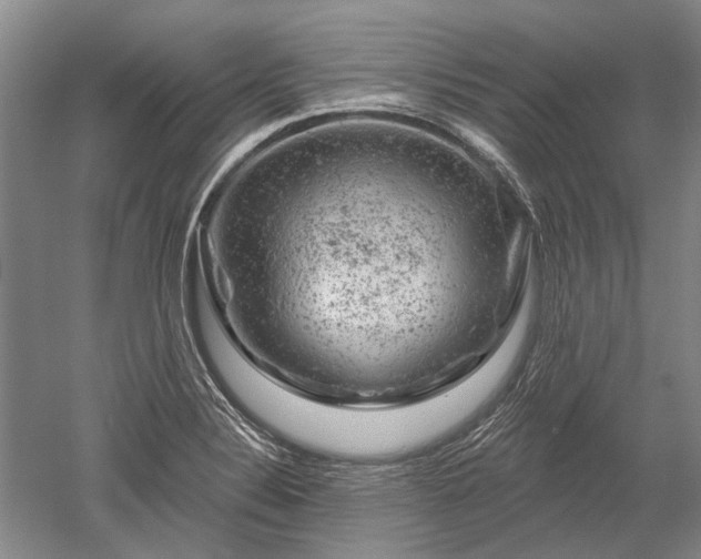 X0000052641324200507081955