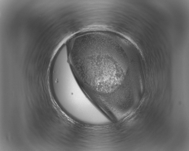 X0000052641325200507081955