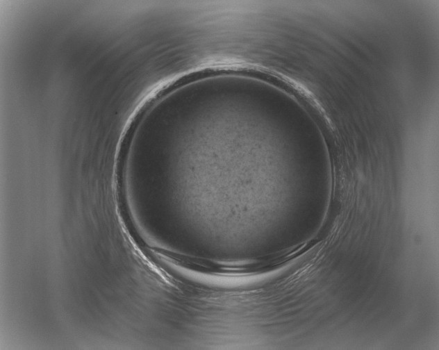 X0000052641327200507081955