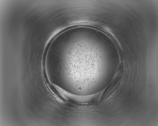 X0000052641328200507081955