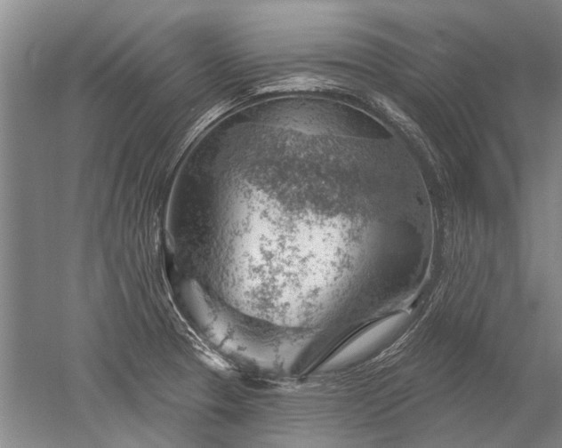 X0000052641329200507081955