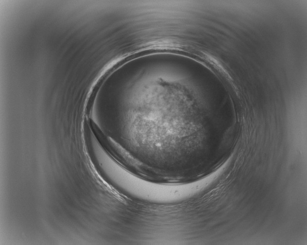 X0000052641331200507081955