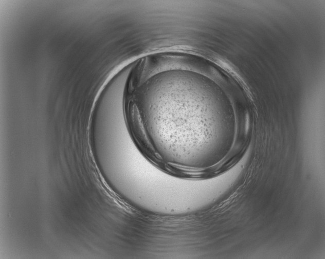 X0000052641332200507081955