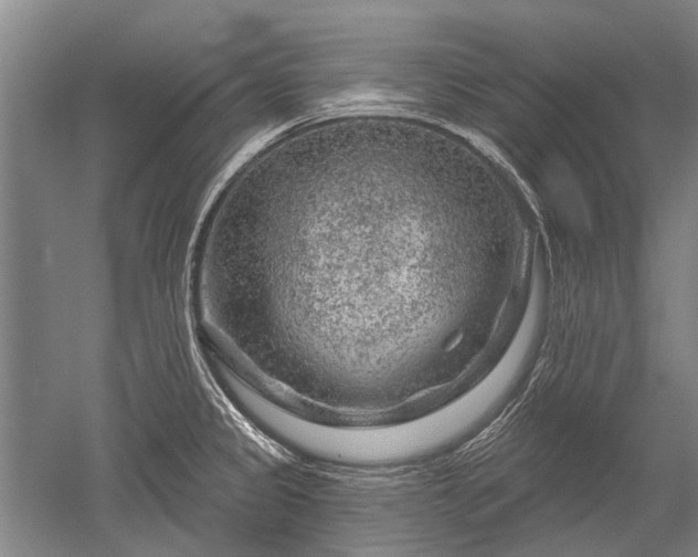 X0000052641333200507081955