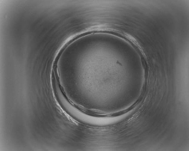 X0000052641334200507081955