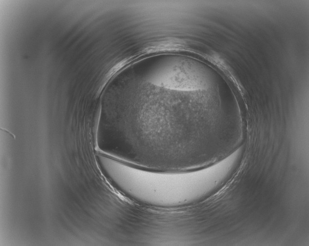 X0000052641337200507081955