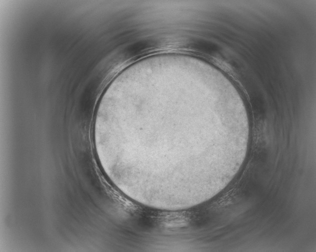 X0000052641338200507081955