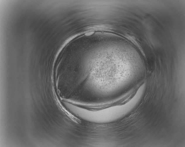 X0000052641339200507081955