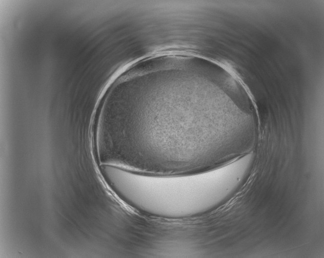 X0000052641341200507081955