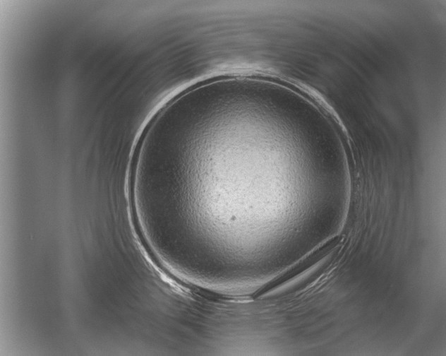 X0000052641343200507081955