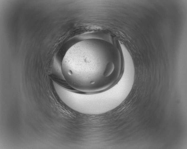 X0000052641345200507081955