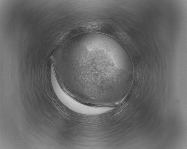 X0000052641346200507081955