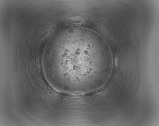 X0000052641347200507081955