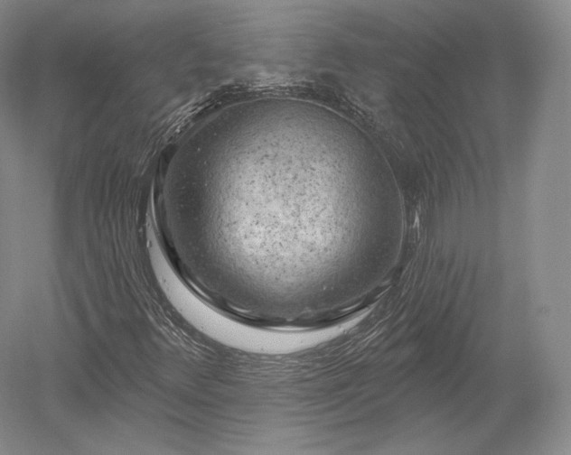 X0000052641348200507081955