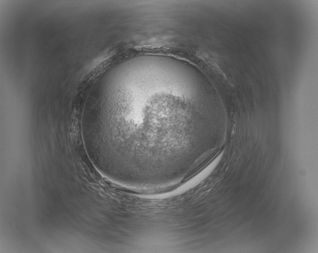 X0000052641350200507081955