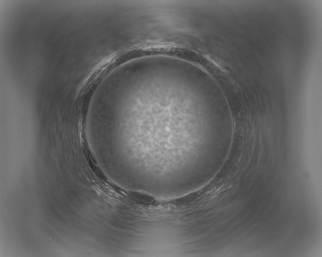 X0000052641351200507081955