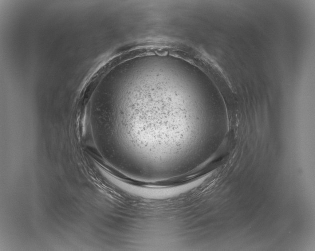 X0000052641352200507081955