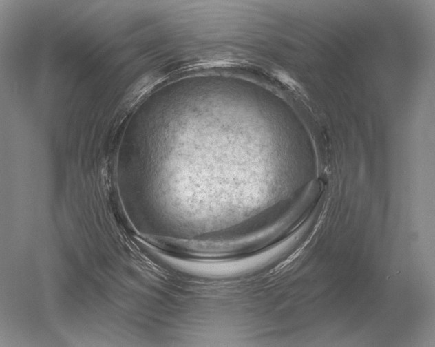 X0000052641353200507081955