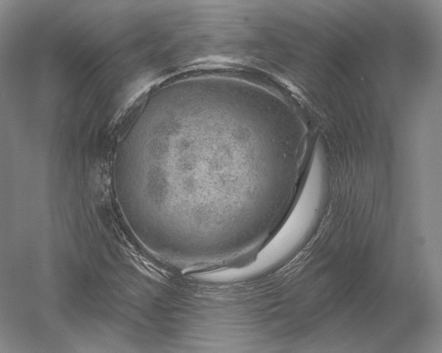 X0000052641355200507081955