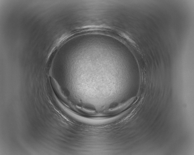 X0000052641357200507081954