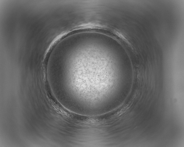 X0000052641358200507081954