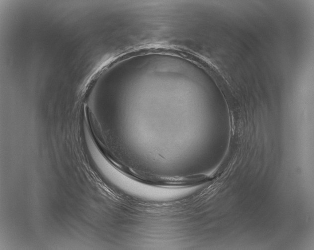 X0000052641359200507081954