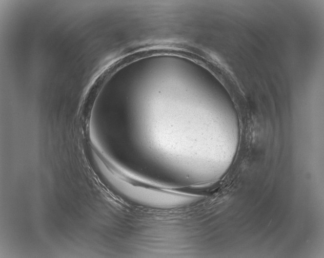 X0000052641360200507081954