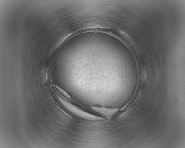 X0000052641361200507081954