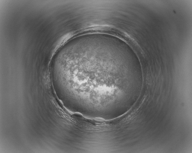 X0000052641362200507081954