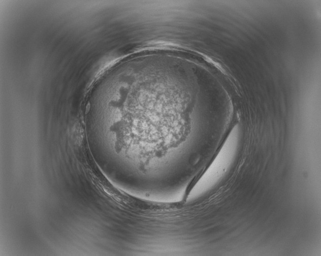 X0000052641363200507081954