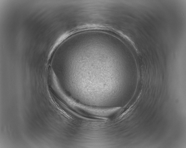 X0000052641365200507081954