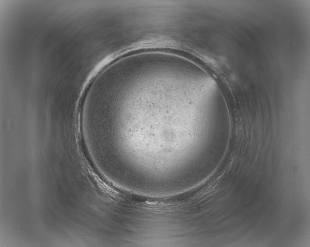 X0000052641366200507081954