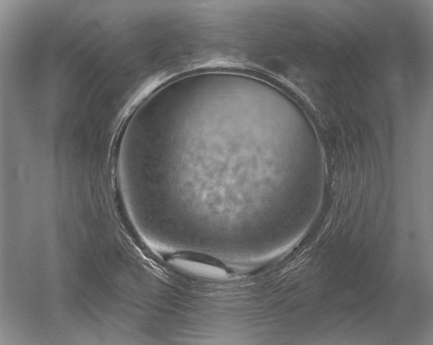 X0000052641367200507081954