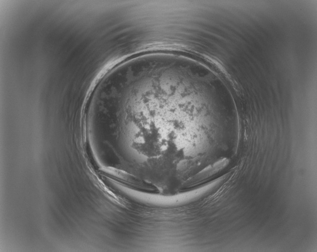 X0000052641371200507081954