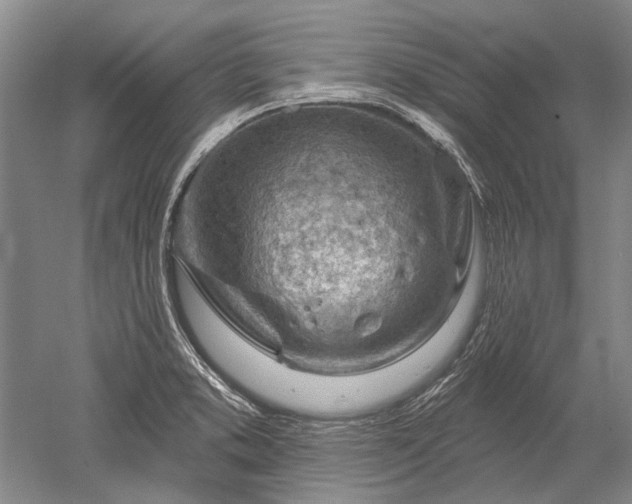 X0000052641373200507081954