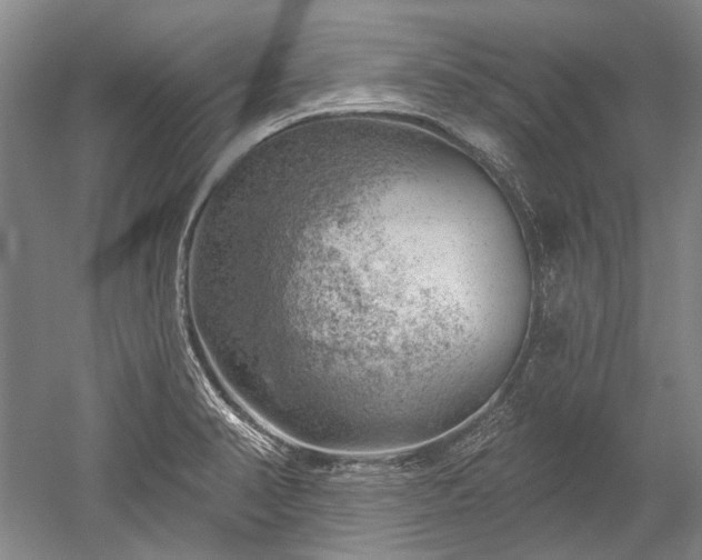 X0000052641374200507081954