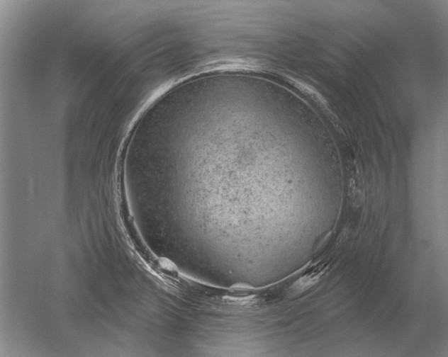 X0000052641375200507081954