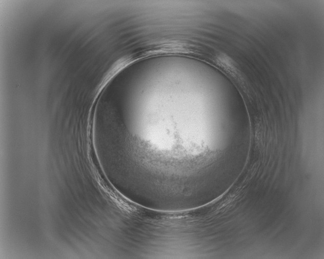 X0000052641378200507081954