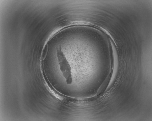 X0000052641379200507081954