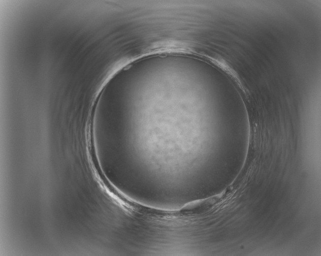 X0000052641383200507081954