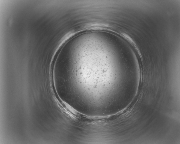 X0000052641384200507081954