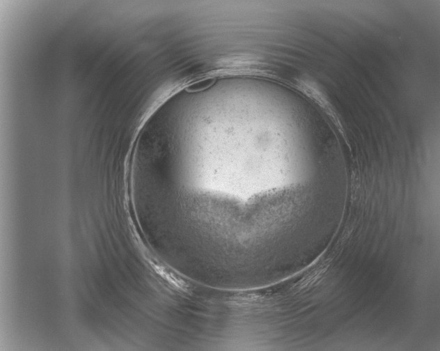 X0000052641386200507081954