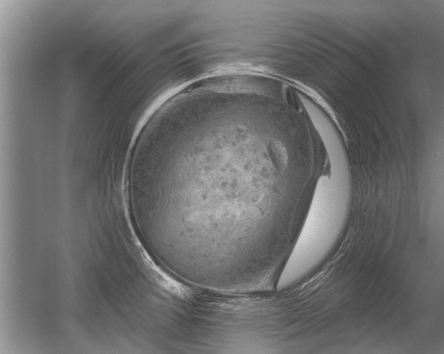 X0000052641387200507081954