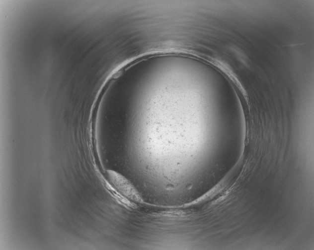 X0000052641388200507081954