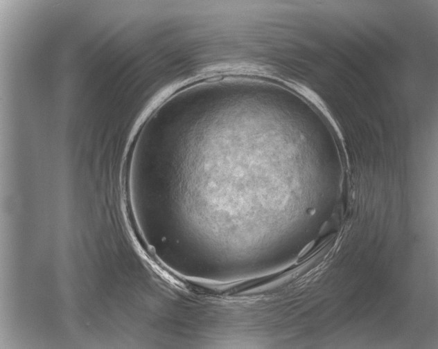 X0000052641389200507081954