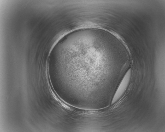 X0000052641390200507081954