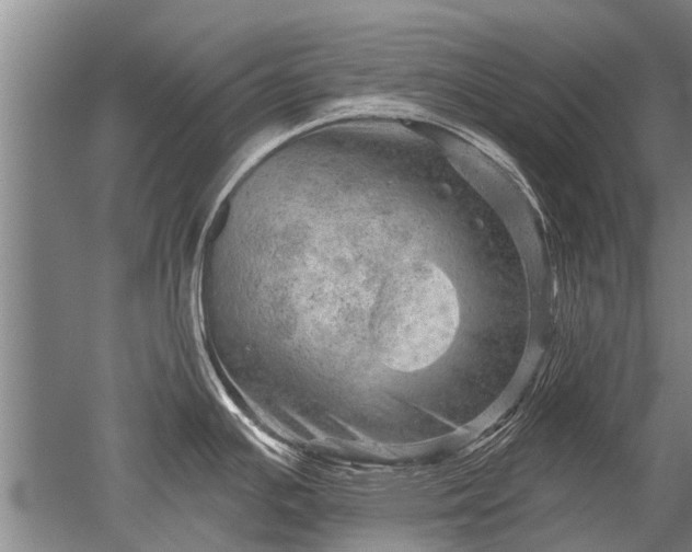 X0000052641391200507081954